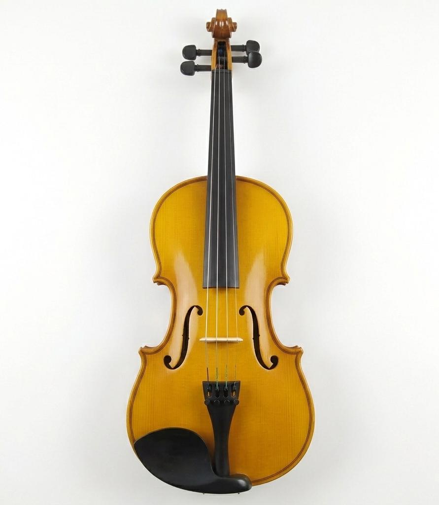 Standzo 44 Solid Wood Violin Musical Instrument Violin for Beginners and Kids adults Students with Hard Case Rosin Maple Wood Hand made