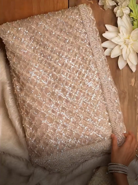 Chandani Moonlight Cream Net Saree with Running blouse