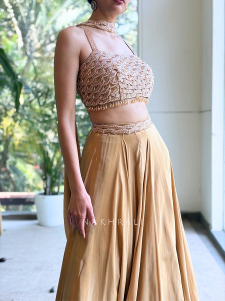 Ruhvik Beige Indo Western Crop Top Skirt Set