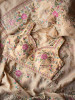 Whispers of Spring Beige Saree with Heavy Floral Thread Work and Readymade Blouse