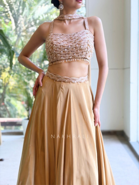 Ruhvik Beige Indo Western Crop Top Skirt Set