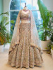 Majestic Aura Green Embroidered Lehenga Set