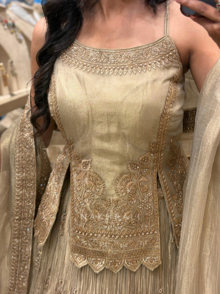 Cressida Beige Shimmer Tissue Indo-Western Lehenga
