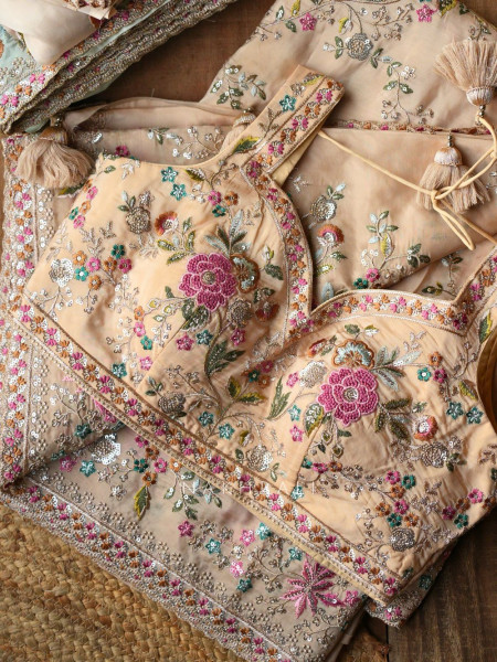 Whispers of Spring Beige Saree with Heavy Floral Thread Work and Readymade Blouse