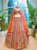 Royal Vermilion Brick Bridal Lehenga with Intricate Zari Work