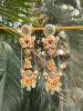 Regalia Green Enamel Work Dangler Earrings