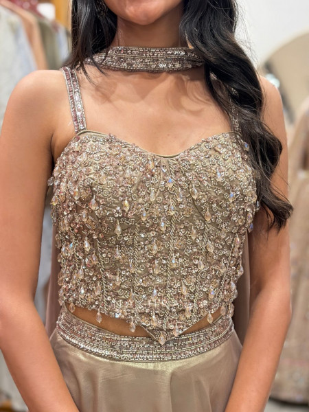 Lunar Glow Beige Corset Lehenga with Cut Dana and Bead Work