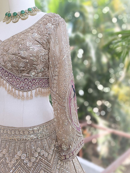 Mridika Brown Net Lehenga Set with Cut Dana Sequin Work