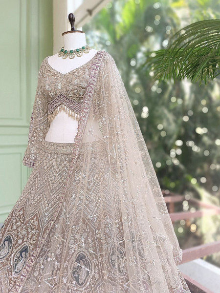 Mridika Brown Net Lehenga Set with Cut Dana Sequin Work