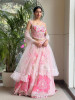 Blossom Mist Net Lehenga with Sequin and Bead Work
