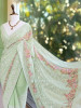 Ecru Grace Pista Green Embroidered Elegance Saree with Sequin Detailing