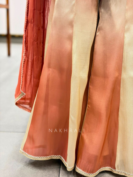 Kesarika Veil Orange Suit Set – Detailed Sequin Work