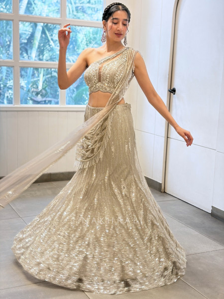Silver Monolith  Beige Metallic Tissue Mesh & Tulle – Indo Western Mermaid Lehenga