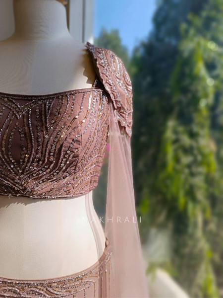 Velora Brown Net Indo-Western Lehenga with Cut Dana Work