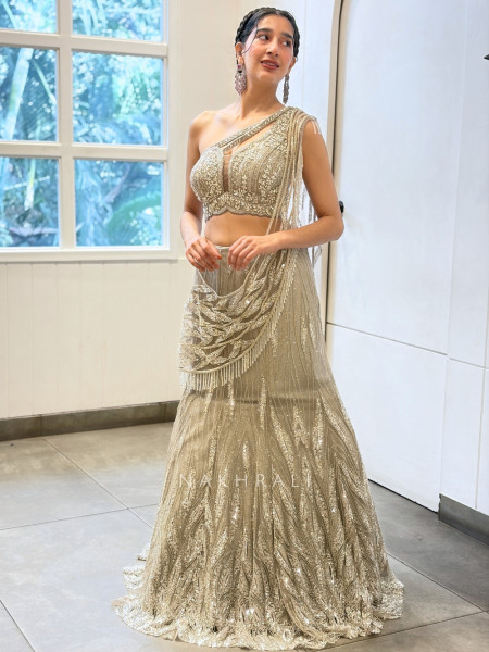 Silver Monolith  Beige Metallic Tissue Mesh & Tulle – Indo Western Mermaid Lehenga