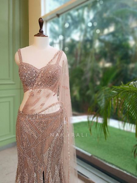 Cressida Beige Net Indo-Western Fishtail Lehenga Set