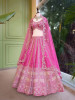 Ravya Pink Mirror and Beads Work Lehenga Set