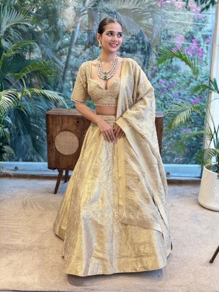 Aavika Hazel Brocade Lehenga Set with Sequin Embroidery