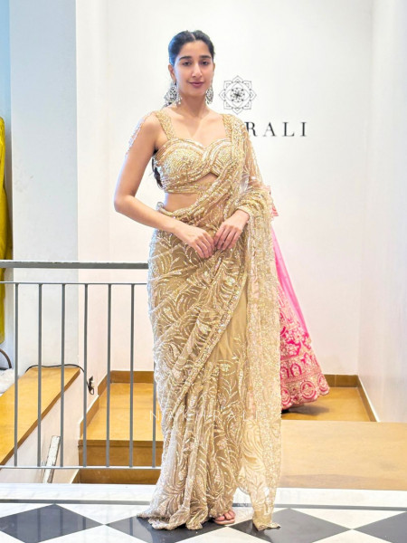 Radiant Charm Golden Net Saree with Sequin & Cut Dana Work