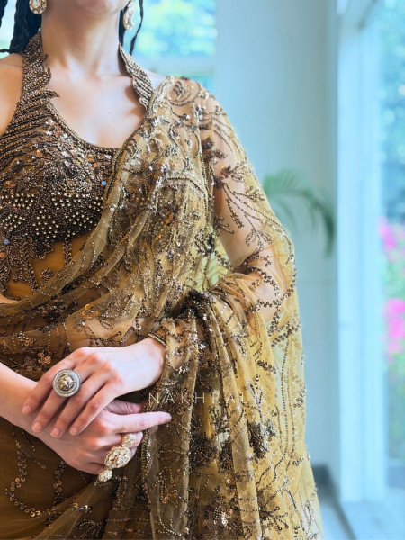 Amber Gleam Net Drape Saree with Sequin and Cut Dana Work