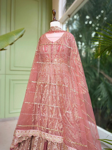 Blush Bloom Pink Achkan Pattern Lehenga with Zari Sequin Work