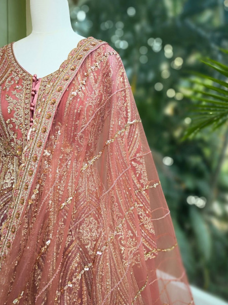 Blush Bloom Pink Achkan Pattern Lehenga with Zari Sequin Work