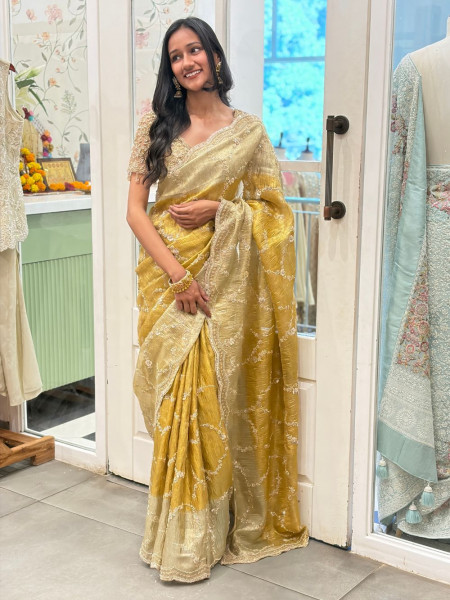 Aarna Gold Beige Saree with Sequin Cut Dana Work