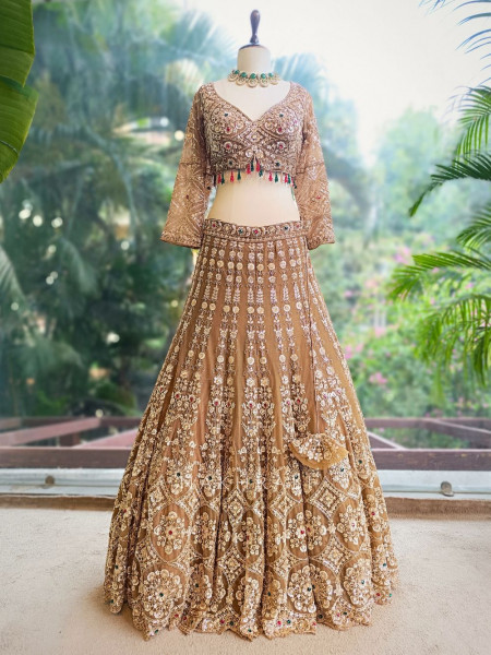 Rajvan Brown Net Lehenga Set with Cut Dana Sequin Work