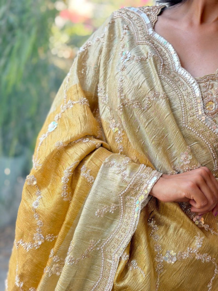 Aarna Gold Beige Saree with Sequin Cut Dana Work