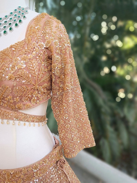 Rivanya Brown Embroidered Lehenga Set