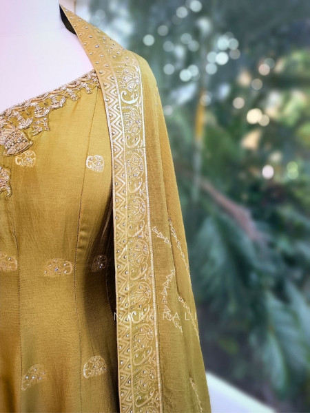 Tavisha Green Banarasi Weave Anarkali