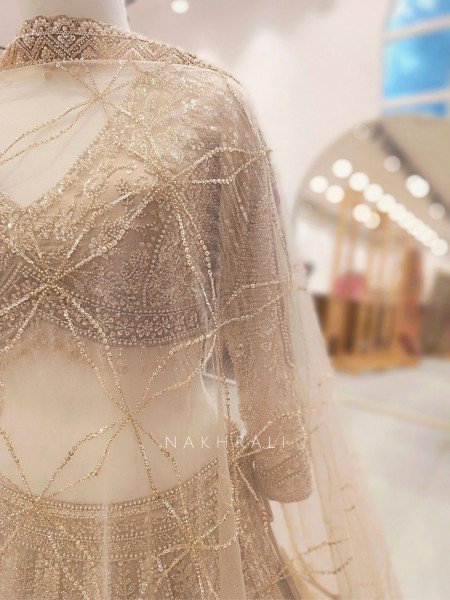 Seraphine Beige Lehenga Set with Zari and Sequin Work