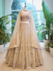 Golden Flare beige Lehenga with Thread and Sequin Work