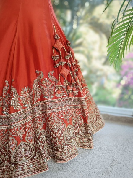 Vrishti Brick Lehenga Set with Peacock and Sequin Embroidery