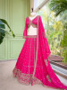 Toshika magenta Lehenga Set with Detailed Embroidery Work