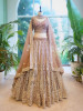 Golden Flare Brown Lehenga with Thread and Sequin Work