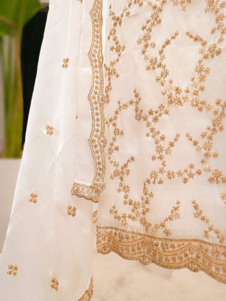 Vanilla Hue Ivory Tissue Dress Material with Sequin & Cut Dana Work