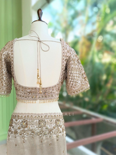 Dhwani Beige Saree With Sequin & Embroidery