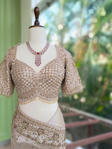 Dhwani Beige Saree With Sequin & Embroidery