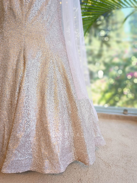 Averin Grey Mermaid Lehenga with Sequin and Cut Dana Work