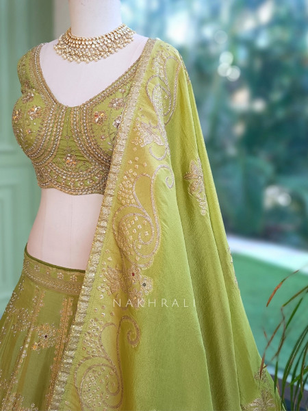 Pank Parrot Green Banarasi Silk Lehenga Set With Sequin Floral & Paisley Work