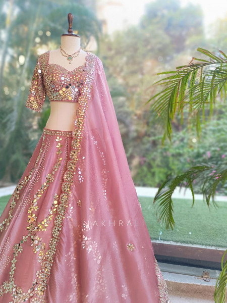 Aaina-e-Gul Pink Tissue Silk & Organza Silk Lehenga