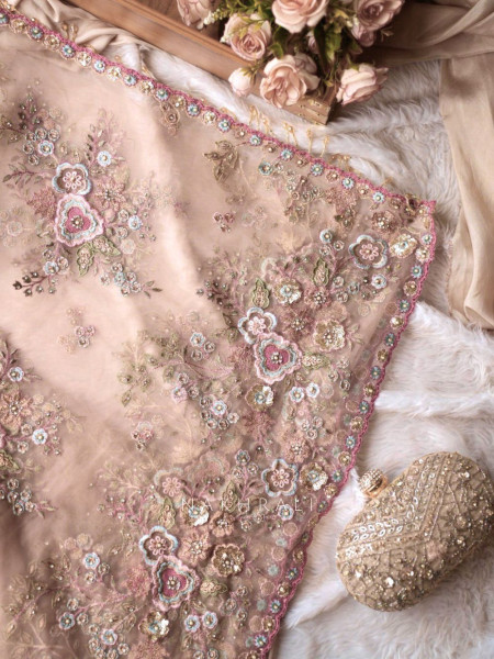 Glitter & Glam Dusty Peach Saree with Readymade Blouse