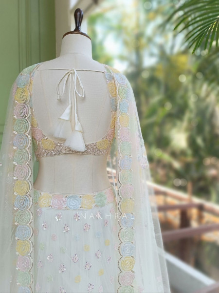 Brinelle Cream Net Lehenga with Floral Cut Dana Work