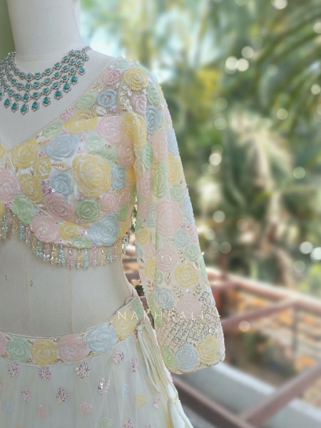 Brinelle Cream Net Lehenga with Floral Cut Dana Work