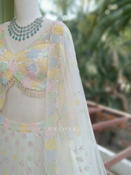 Brinelle Cream Net Lehenga with Floral Cut Dana Work