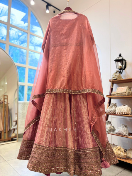 Mrigya Onion Pink Anarkali Suit Set With Hand Embellished Zari & Sequin Work