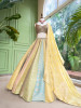 Prism Meadow Multicolor Lehenga Set