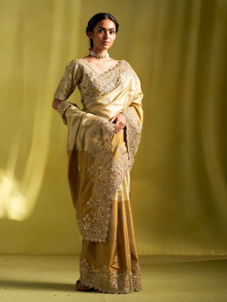 Beige Tissue Dola Silk Saree with Zardozi Border