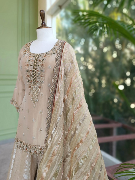Swarnak Beige Suit Set with Zari Embroidery Work